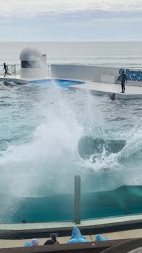 鴨川シーワールドに投稿された画像（2023/9/3）