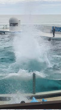 鴨川シーワールドに投稿された画像（2023/9/3）