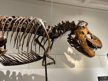 大阪市立自然史博物館に投稿された画像（2023/9/3）
