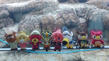 上越市立水族博物館 うみがたりに投稿された画像（2023/9/3）