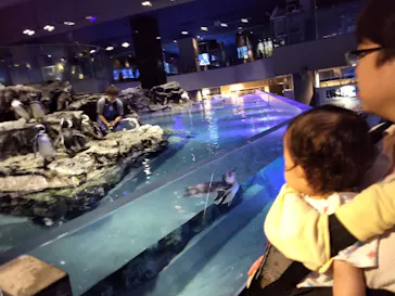 すみだ水族館に投稿された画像（2023/9/3）