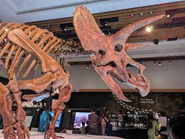 DinoScience 恐竜科学博 2023@TOKYO MIDTOWNに投稿された画像（2023/9/3）