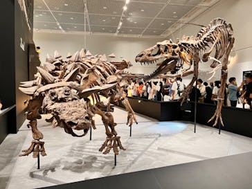 大阪市立自然史博物館に投稿された画像（2023/9/3）