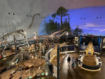 福井県立恐竜博物館に投稿された画像（2023/9/3）