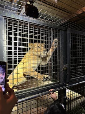 那須サファリパークに投稿された画像（2023/9/3）