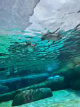天王寺動物園に投稿された画像（2023/9/3）