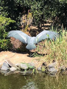 神戸どうぶつ王国に投稿された画像（2023/9/3）