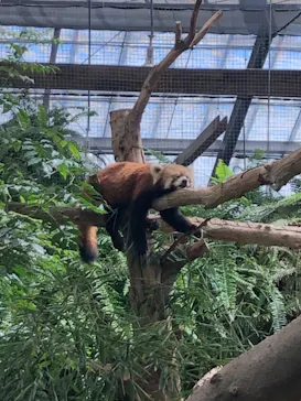 神戸どうぶつ王国に投稿された画像（2023/9/3）