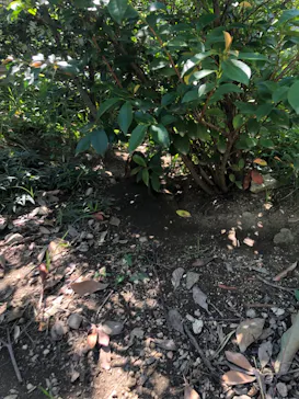 神戸どうぶつ王国に投稿された画像（2023/9/3）