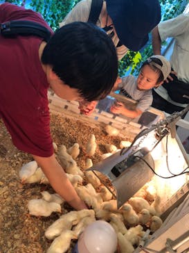 アニタッチみなとみらいに投稿された画像（2023/9/3）