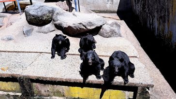 奥飛騨クマ牧場に投稿された画像（2023/9/3）