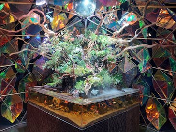 NARA KINGYO MUSEUMに投稿された画像（2023/9/3）