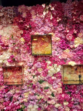 NARA KINGYO MUSEUMに投稿された画像（2023/9/3）