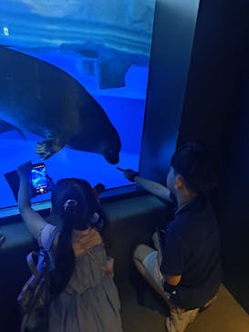 サンシャイン水族館に投稿された画像（2023/9/3）