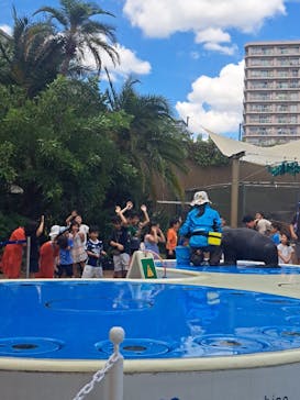 サンシャイン水族館に投稿された画像（2023/9/3）