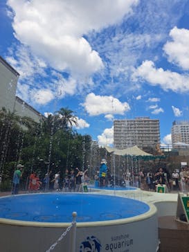 サンシャイン水族館に投稿された画像（2023/9/3）