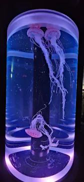 マクセル アクアパーク品川に投稿された画像（2023/9/3）