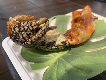 ブラジリアンパーク鷲羽山ハイランドに投稿された画像（2023/9/3）