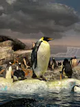 名古屋港水族館に投稿された画像（2023/9/3）