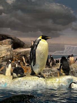 名古屋港水族館に投稿された画像（2023/9/3）