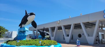 鴨川シーワールドに投稿された画像（2023/9/3）