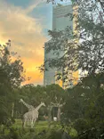 天王寺動物園に投稿された画像（2023/9/3）