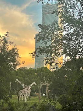 天王寺動物園に投稿された画像（2023/9/3）