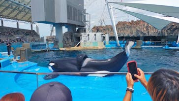 名古屋港水族館に投稿された画像（2023/9/3）