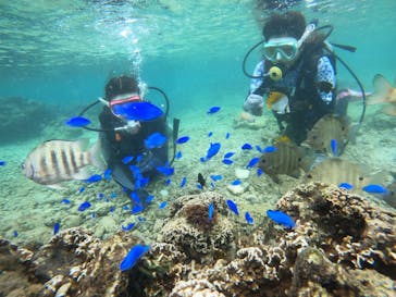 沖縄マリンサービス碧に投稿された画像（2023/9/3）