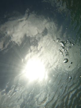 沖縄マリンサービス碧に投稿された画像（2023/9/3）