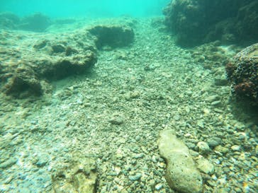 沖縄マリンサービス碧に投稿された画像（2023/9/3）