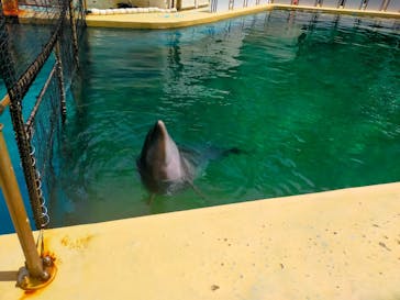 伊豆・三津シーパラダイスに投稿された画像（2023/9/3）