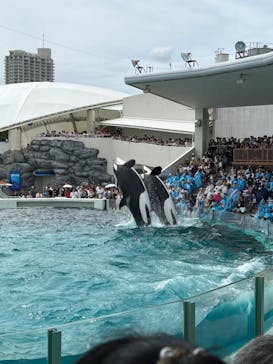 鴨川シーワールドに投稿された画像（2023/9/3）