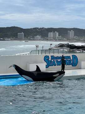 鴨川シーワールドに投稿された画像（2023/9/3）