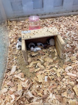 アニタッチみなとみらいに投稿された画像（2023/9/3）