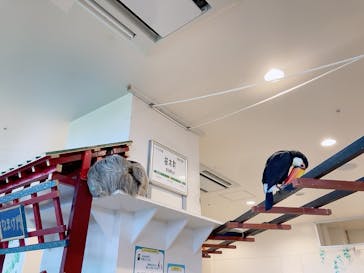 アニタッチみなとみらいに投稿された画像（2023/9/3）