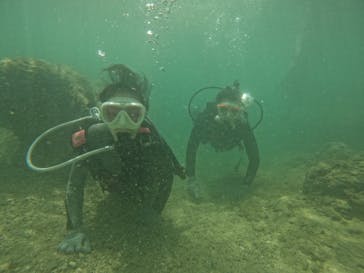 沖縄マリンサービス碧に投稿された画像（2023/9/3）