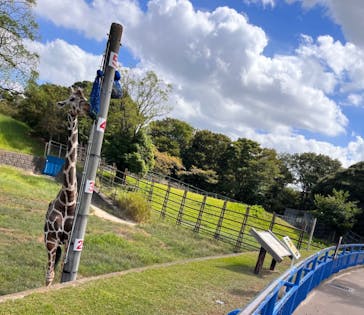 千葉市動物公園に投稿された画像（2023/9/3）