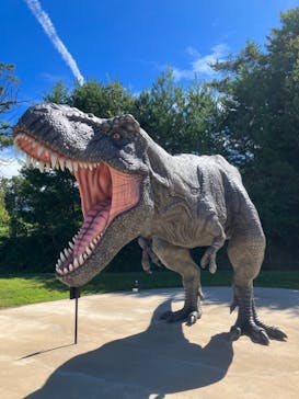 福井県立恐竜博物館に投稿された画像（2023/9/3）