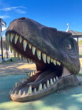 福井県立恐竜博物館に投稿された画像（2023/9/3）