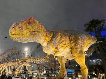 福井県立恐竜博物館に投稿された画像（2023/9/3）