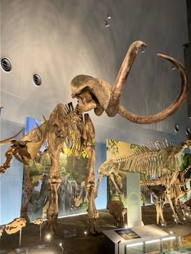 福井県立恐竜博物館に投稿された画像（2023/9/3）