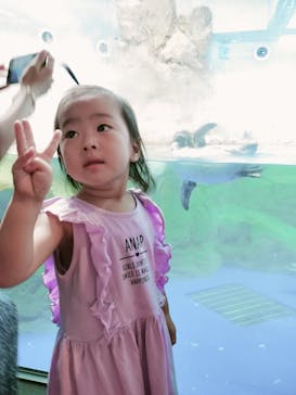 新江ノ島水族館に投稿された画像（2023/9/3）