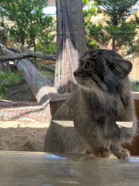 那須どうぶつ王国に投稿された画像（2023/9/3）