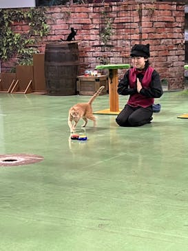 那須どうぶつ王国に投稿された画像（2023/9/3）