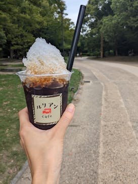 大阪市立自然史博物館に投稿された画像（2023/9/3）