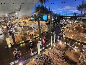 福井県立恐竜博物館に投稿された画像（2023/9/3）