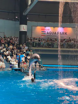 マクセル アクアパーク品川に投稿された画像（2023/9/3）