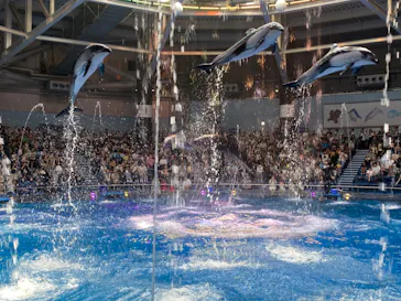 マクセル アクアパーク品川に投稿された画像（2023/9/3）