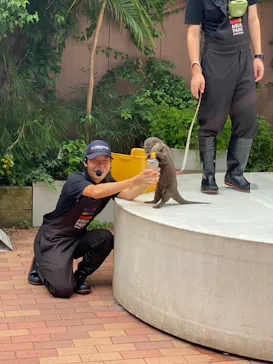 マクセル アクアパーク品川に投稿された画像（2023/9/3）